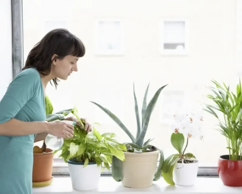 Massa Vitaetortor Condimentum Lacinia